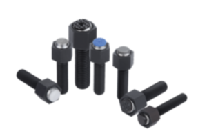 Self-aligning pads adjustable with O-ring and exchangeable inserts Self-aligning pads adjustable with O-ring and exchangeable inserts