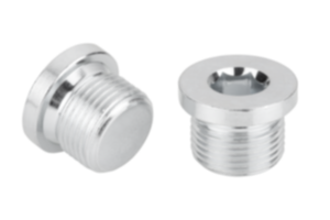 Screw plugs with collar and hexagon socket DIN 908 Screw plugs with collar and hexagon socket DIN 908
