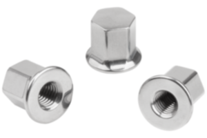 Tuercas de sombrerete de acero inoxidable con collar para arandelas de junta y apoyo Hygienic USIT® Tuercas de sombrerete de acero inoxidable con collar para arandelas de junta y apoyo Hygienic USIT®
